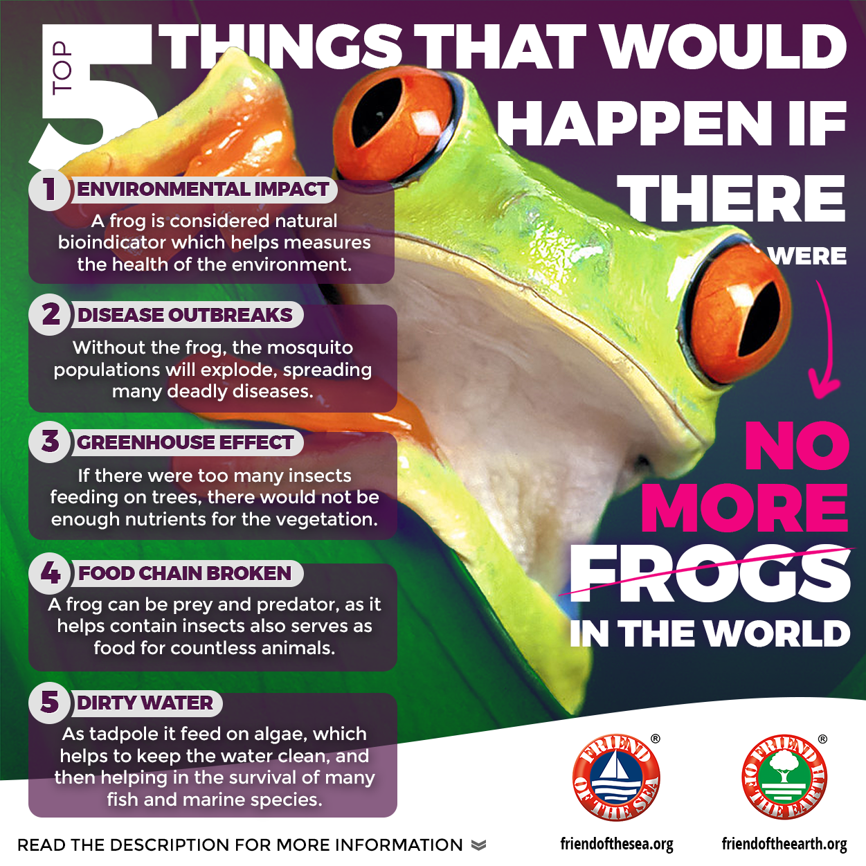 Save The Frogs Campaign | Possible Solutions To Save - FOS