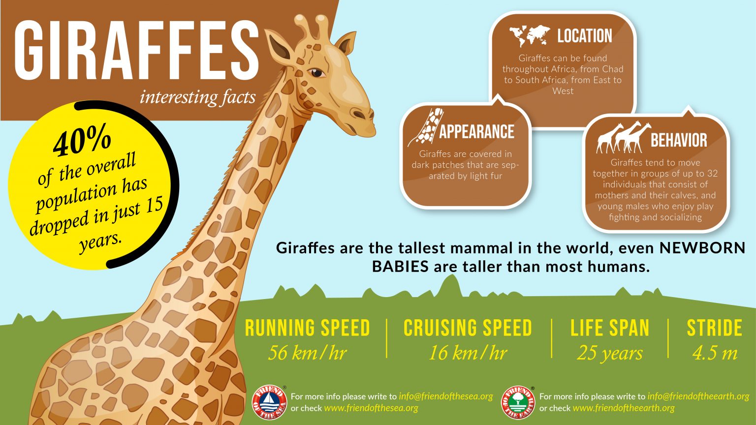 Save the Giraffes | Friend of the Earth