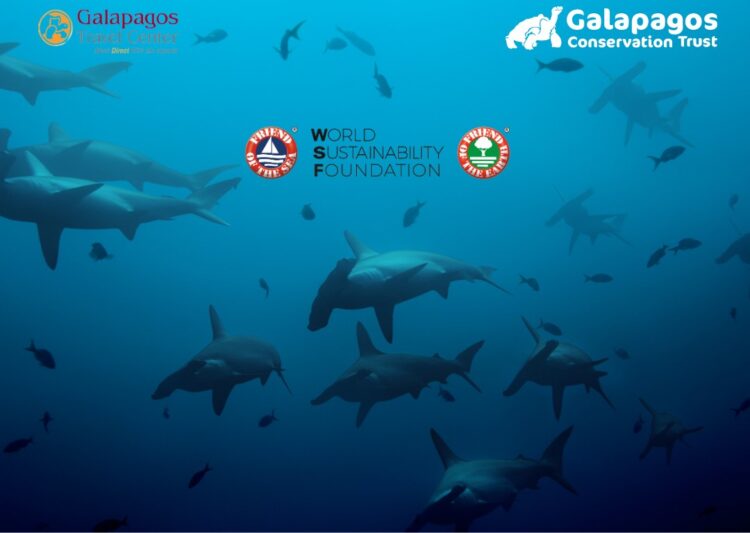 WEBINAR: The Sharks of the Galapagos Islands: a general overview and how tourism can support their conservation.