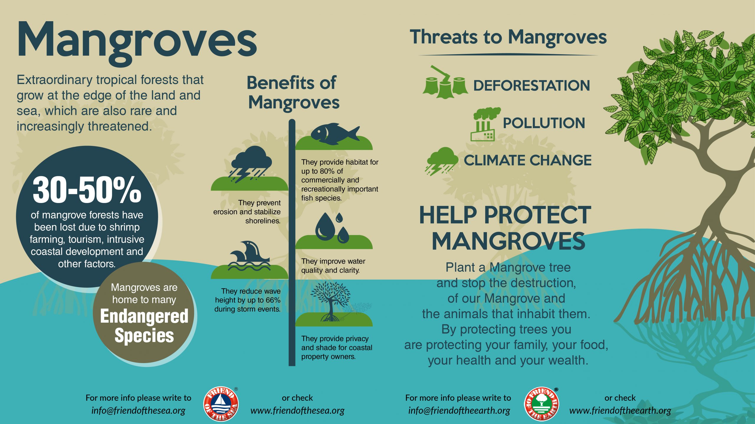 Save The Mangroves