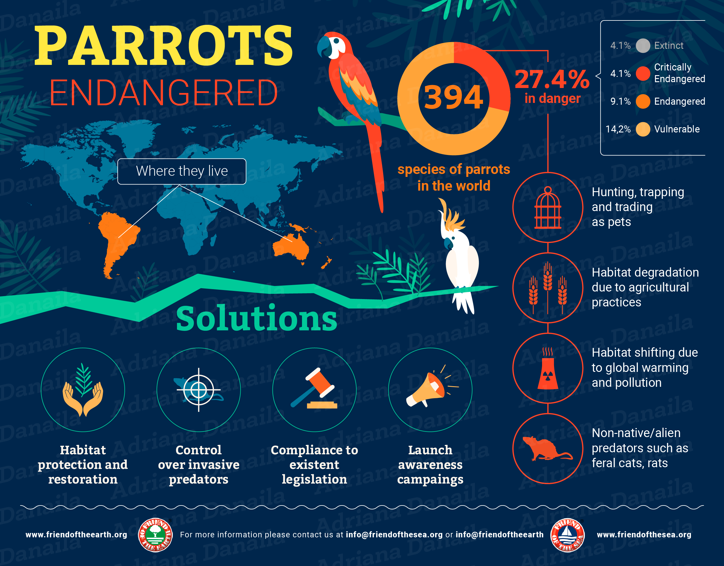 Save the Parrots