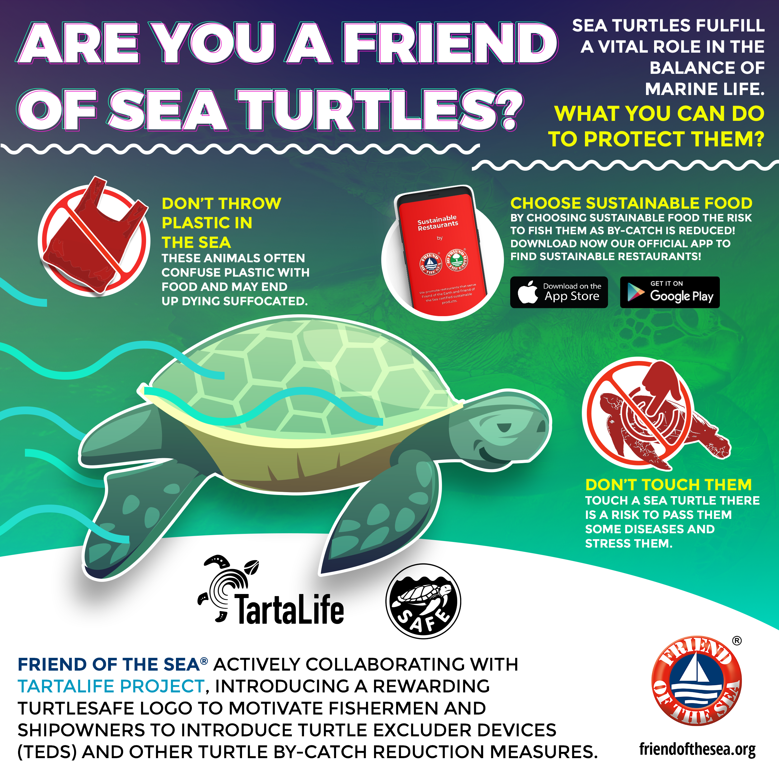 how to save loggerhead sea turtles