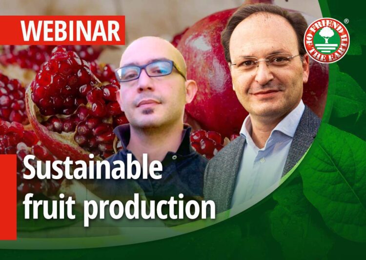 Webinar on “Sustainable fruit production and sustainability certifications. Case Study: Pomegranate by Masseria Fruttirossi certified Friend of the Earth.” 24th of November 2021 at 3:00 pm in Milan, CET.