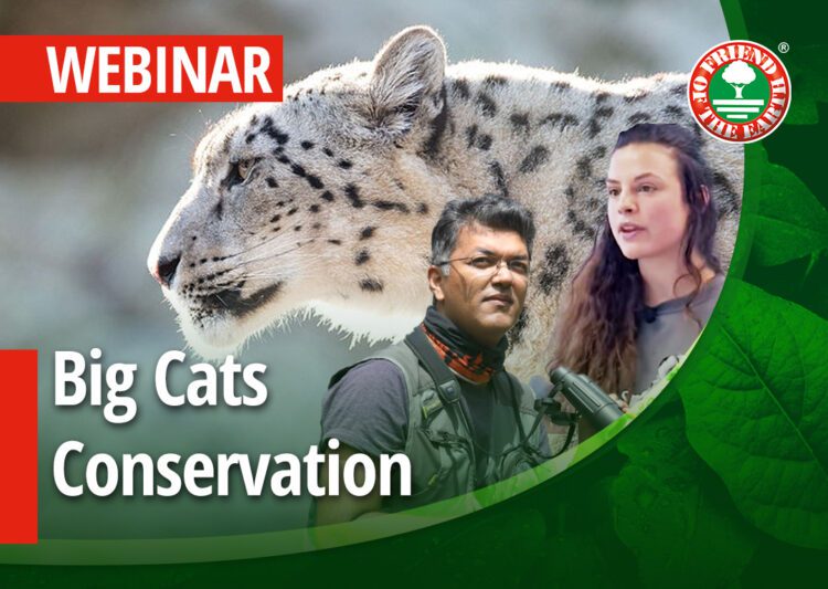 Webinar on big cats conservation status and Friend of the Earth programs. Case Study: camera traps and the snow leopard.  14th of September 2022 at 3PM (Central Europe Time). post image