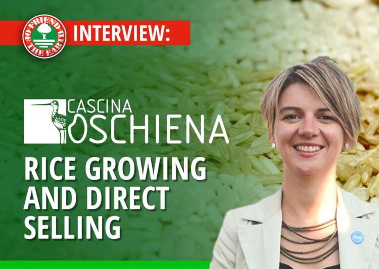 INTERVIEW: Cascina Oschiena: Cultivating Rice and helping nature at the same time post image