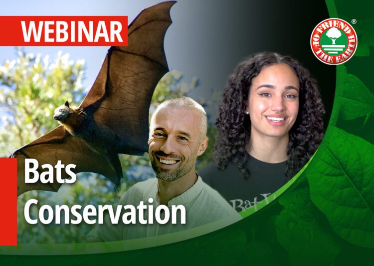 Webinar on “Bat conservation status and Friend of the Earth programs. Case Study: Bat World Sanctuary.”-  27th of April 2022 at 3PM (Central Europe Time). post image