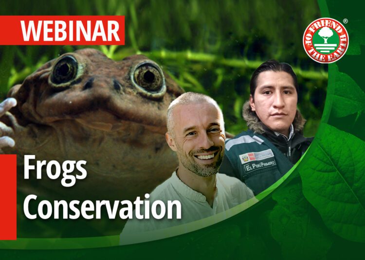 Webinar on “Frog conservation status and Friend of the Earth programs. Case Study: the endangered Titicaca water frog.”-  29th of March 2022 at 3PM (Central Europe Time) post image