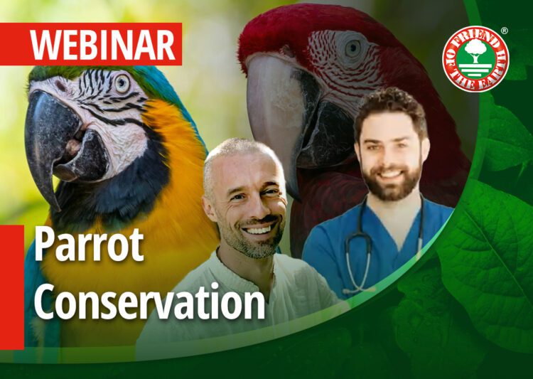 Webinar on «Parrot conservation status and Friend of the Earth programs. Case study Mastervet Veterinary Clinic» – 14th of June 2022 at 3 PM (Central Europe Time). post image