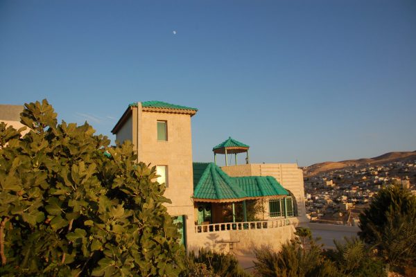 Back garden of Petra Fig Tree Villa