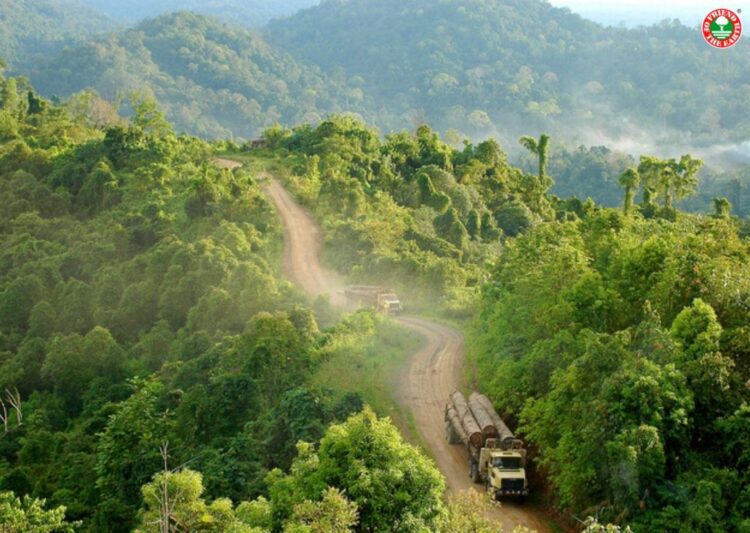 Friend of the Earth lancia petizione contro la distruzione della foresta del Bacino del Congo da parte di produttori di olio di palma e gomma. post image