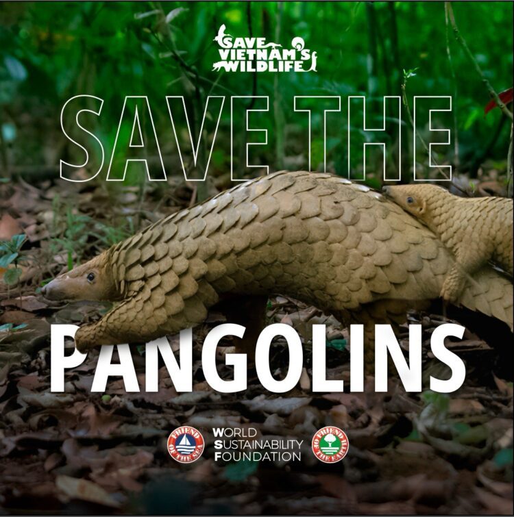 March Pangolin Conservation Campaign: Join Us in Protecting these Precious Creatures!