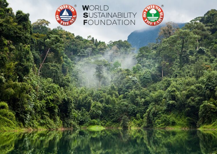 Giornata Mondiale delle Foreste Pluviali: in viaggio verso un futuro più verde