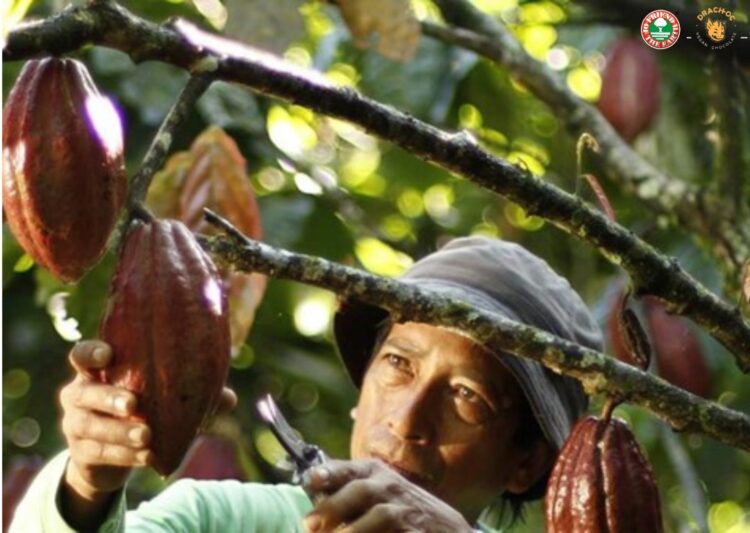 First-ever chocolate brand to bear the world’s leading sustainability certification.
