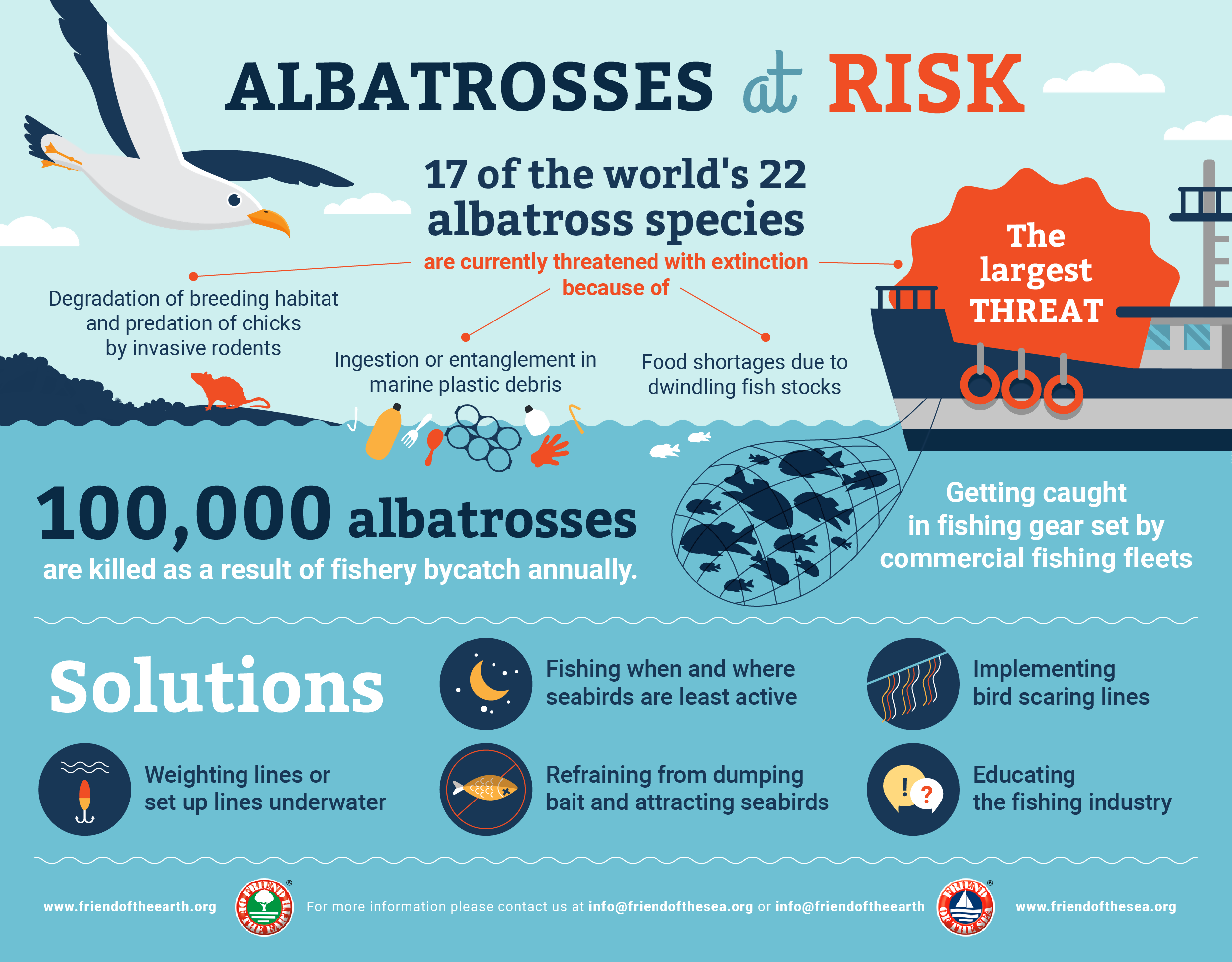 Save the Albatross